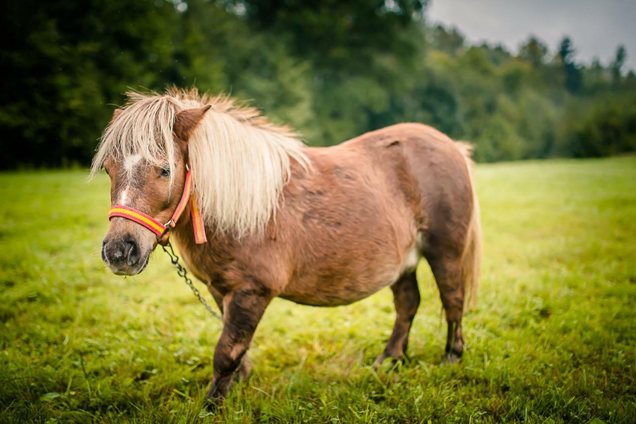 Agroturystyka Natura Pilchowice Kültér fotó